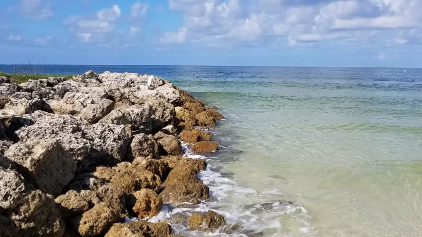 Little Hickory Island Park