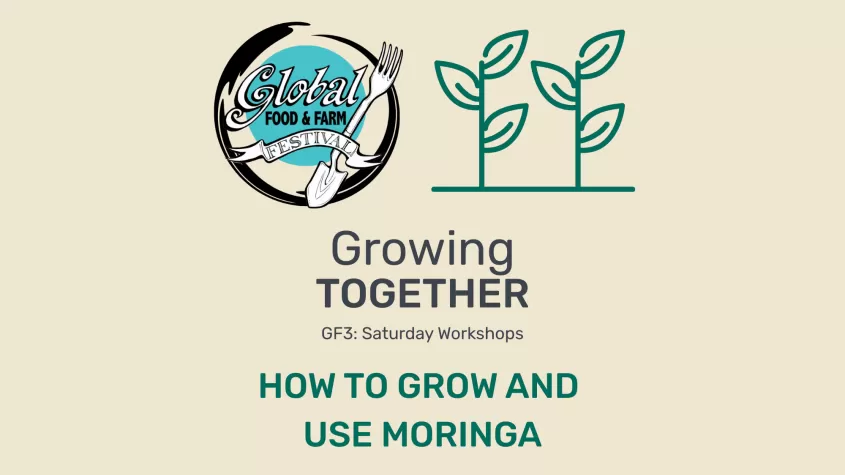 Moringa
