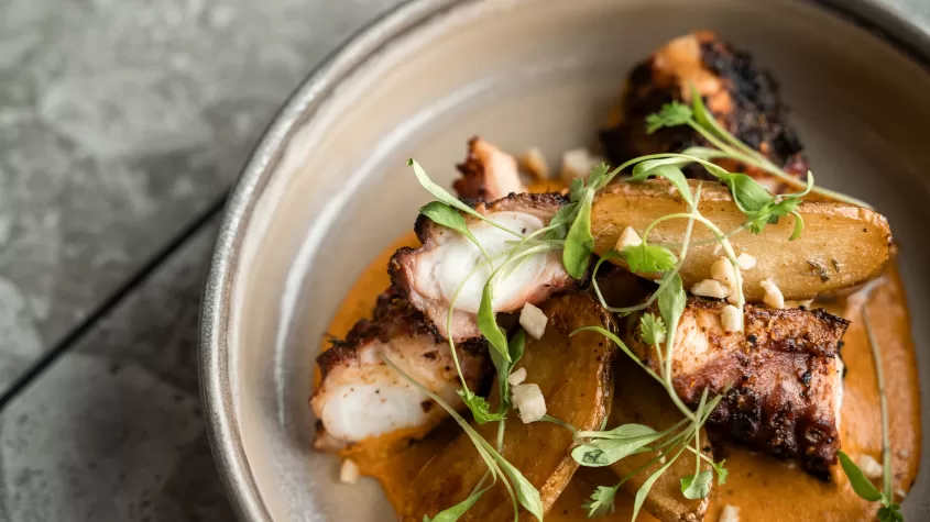 SK - Spanish Octopus - AW Photoshoot