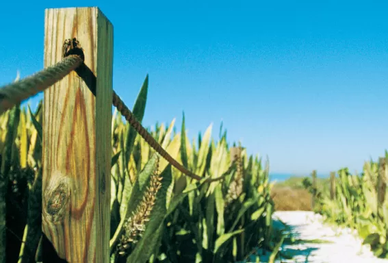 close up of wood post holding rope of the walkway to the beach