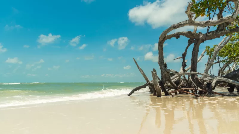 Little Hickory Island Park