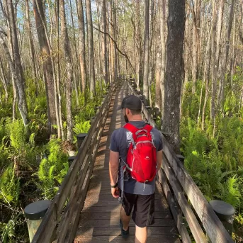 Six Mile Cypress Slough Nature Trail Trees